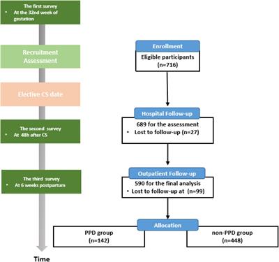 Risk factors for postpartum depression in women undergoing elective cesarean section: A prospective cohort study